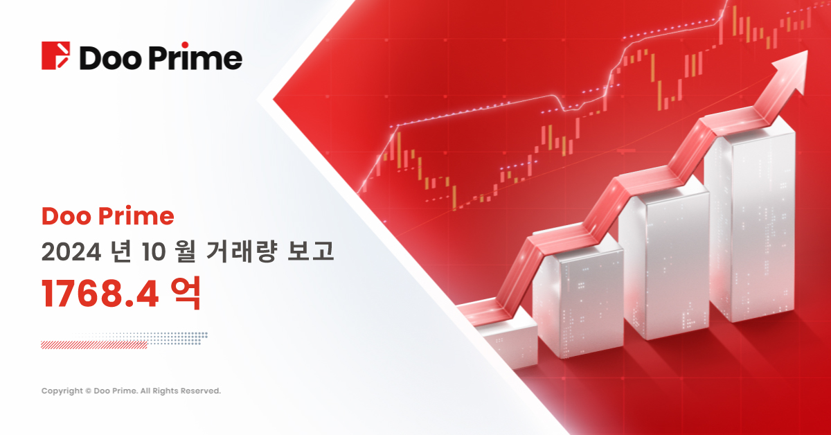 Doo Prime 2024년 10월 거래량 보고서